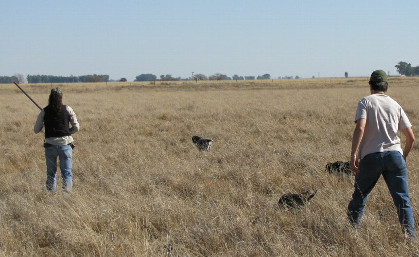 vergelee__stofberg_023r(1)