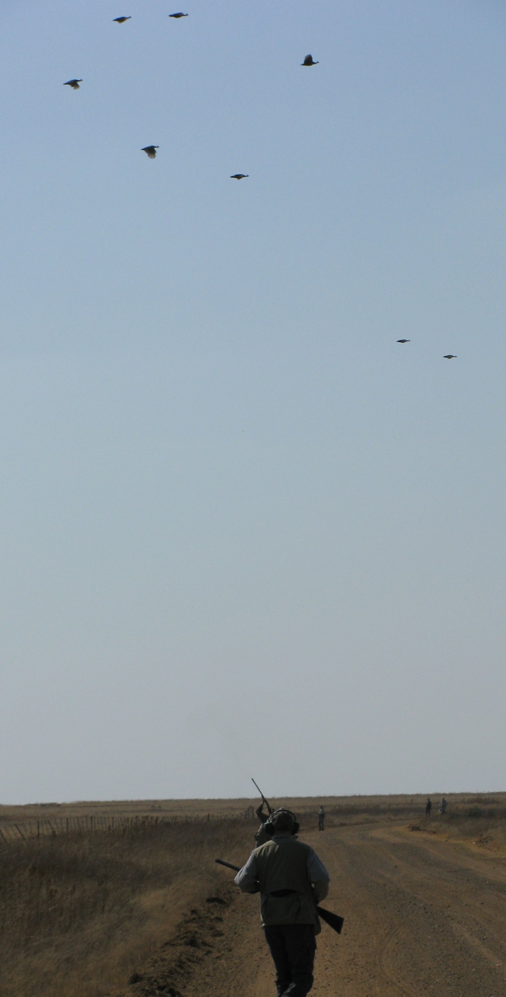 vergelee_stofberg_010(1)